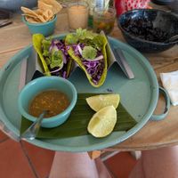  at Selva Taqueria Plantbased in Cabo San Lucas