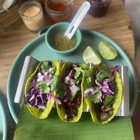 3 different tacos  at Selva Taqueria Plantbased in Cabo San Lucas