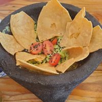 Tacos with guacamole at Selva Taqueria Plantbased in Cabo San Lucas