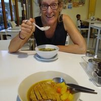 Guru's curry with fried crispy pork at Loving Hut - Saraburi in Sara Buri