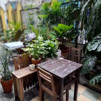 Garden at Nấm in Ho Chi Minh City