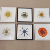 Detail at Iyer's in Cork