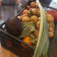 Box at the store for ~13€ (berries, avocado and spring onions were extra)  at 2te Chance in Droissendorf