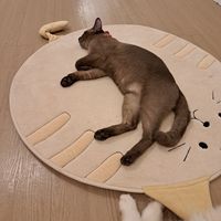  at MagiCat Kafe in Penang