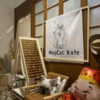   at MagiCat Kafe in Penang