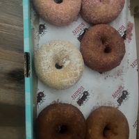 Our 6!  at The OMG! Shop in Cairns