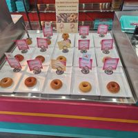  at The OMG! Shop in Cairns