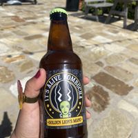 Scored at WF’s - Enjoyed While Basking in the Sun ☀️☺️💕  at It's Alive Kombucha in Arcata