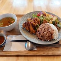 Soybean Katsu set meal at Shojin Cafe Foi - Wakayama Station in Wakayama