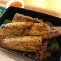Close-up on the tofu eel at Shojin Cafe Foi - Wakayama Station in Wakayama