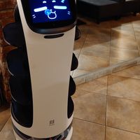 Pizza robot! at Fabryka Pizzy in Nowy Sacz