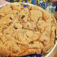 Cookie at Busy V Bakery  in Bristol