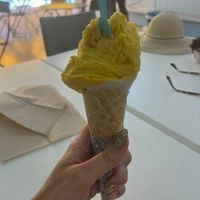   at Chelado Mogán in Gran Canaria