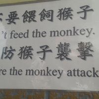 12 at Ten Thousand Buddhas Monastery Vegetarian Canteen in New Territories
