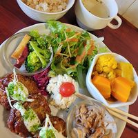 Daily set, vegan at Gopinatha in Tokyo