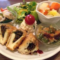 Also came with rice and soup not pictured  at Gopinatha in Tokyo