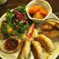 Tofu gyoza and side dishes at Gopinatha in Tokyo