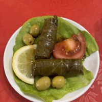 Yalangi  at Zeit W Zaatar in Rome