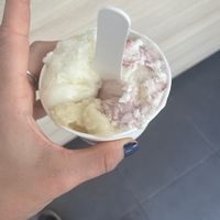   at Alessandro Glacier in La Ciotat