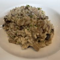Mushroom risotto   at Héctor Oribe in Laguardia