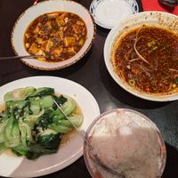 Stir fried bok choy, mapo tofu, spicy sweet potato noodles, and rice at Sichuan Restaurant in Amsterdam