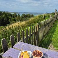 Lemon blueberry cake, oatmilk Cappuccino at Norse Bakehouse in Lairg