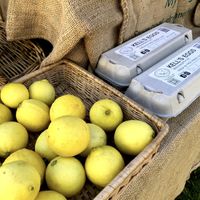   at Beechworth Farmers' Market in Beechworth