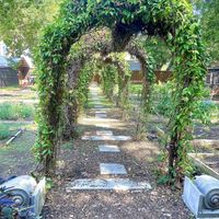 Garden   at Garden Cafe in Dallas