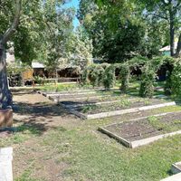 They grow many of the herbs they use!  at Garden Cafe in Dallas