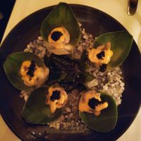 Oysters at Crossroads Kitchen in Los Angeles