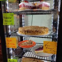  at Cafe Harvest in Vienna