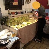   at Cafe Harvest in Vienna