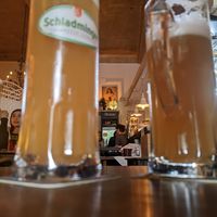 Atmosphere at Cafe Harvest in Vienna