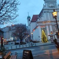 View from a window seating at Cafe Harvest in Vienna