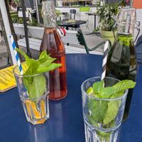  at Cafe Harvest in Vienna