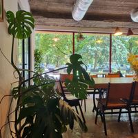 Inside the cafe at Zgoda Cafe in Krakow