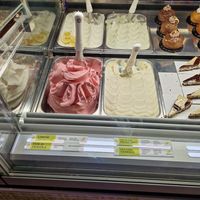 Vegan labelled ice cream flavours at Martinucci Laboratory in Gallipoli