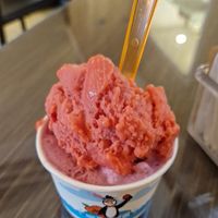 Strawberry and Blueberry ice cream at Fontana Greca Caffè in Gallipoli