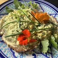 Herby tofu mmm  at Loaf BnB in Berwick-upon-tweed