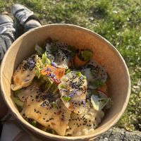   at Wilder Osten in Vienna