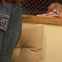 If you go there at night you get the view of beautiful night lights of the tower! 🗼  at Shinsekai Paprika Shokudo Vegan in Osaka