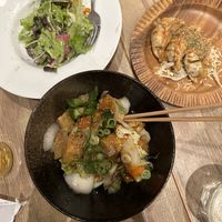 Salad, gyoza, tempeh stirfry  at Shinsekai Paprika Shokudo Vegan in Osaka