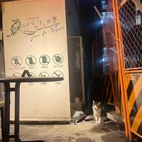  at Shinsekai Paprika Shokudo Vegan in Osaka