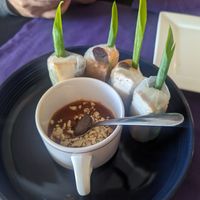 Spring rolls at Thai Ginger Bistro in Appleton