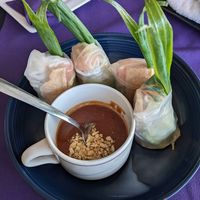 Spring rolls with tofu and peanut sauce at Thai Ginger Bistro in Appleton