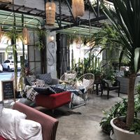   at Happy Allergy Bakery in Chiang Mai