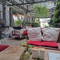  at Happy Allergy Bakery in Chiang Mai