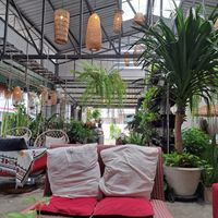  at Happy Allergy Bakery in Chiang Mai