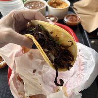Yum  at Hugo's Tacos - Atwater Village in Los Angeles