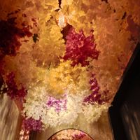 flower ceiling at Shibuya Izakaya in Vienna